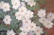 Claude Monet Clematis Germany oil painting reproduction